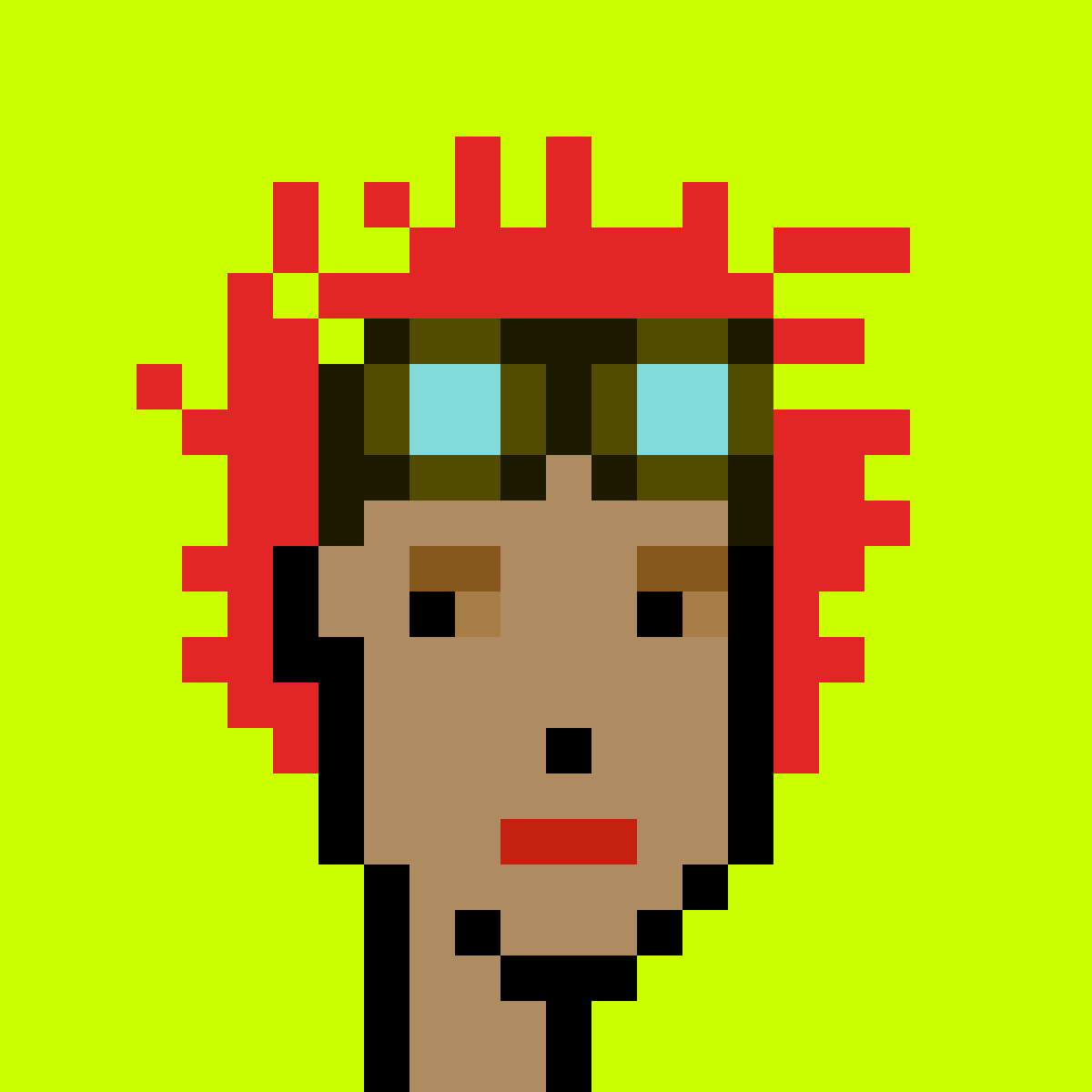 Punk #3016