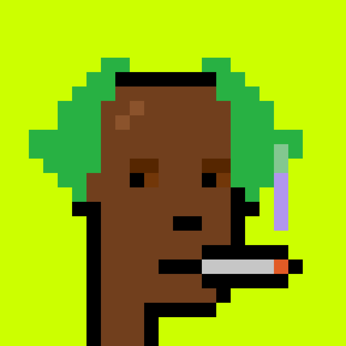 Punk #9061