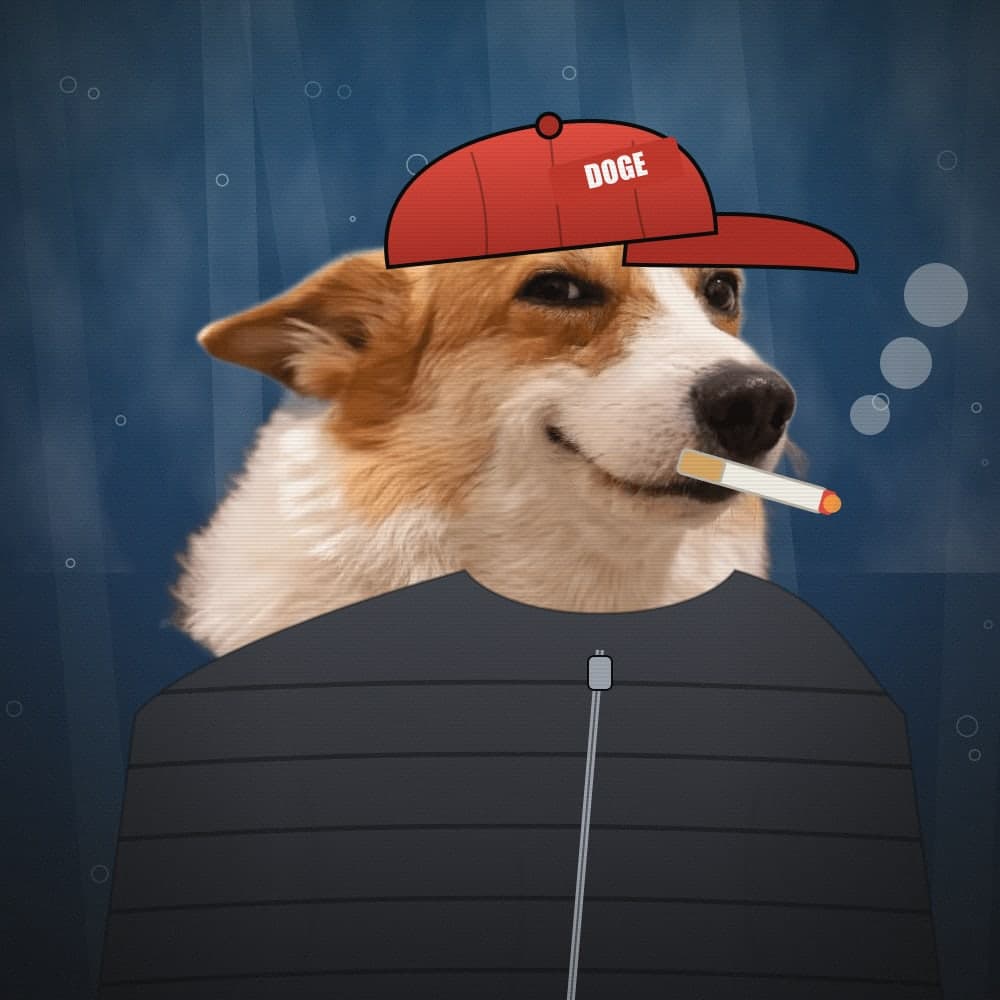 Money Dogs #2917