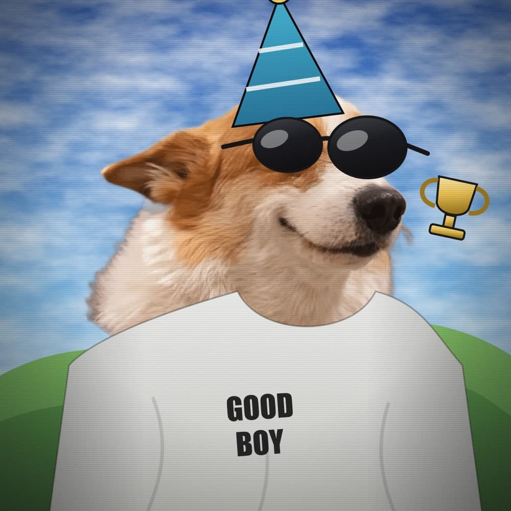 Money Dogs #2976