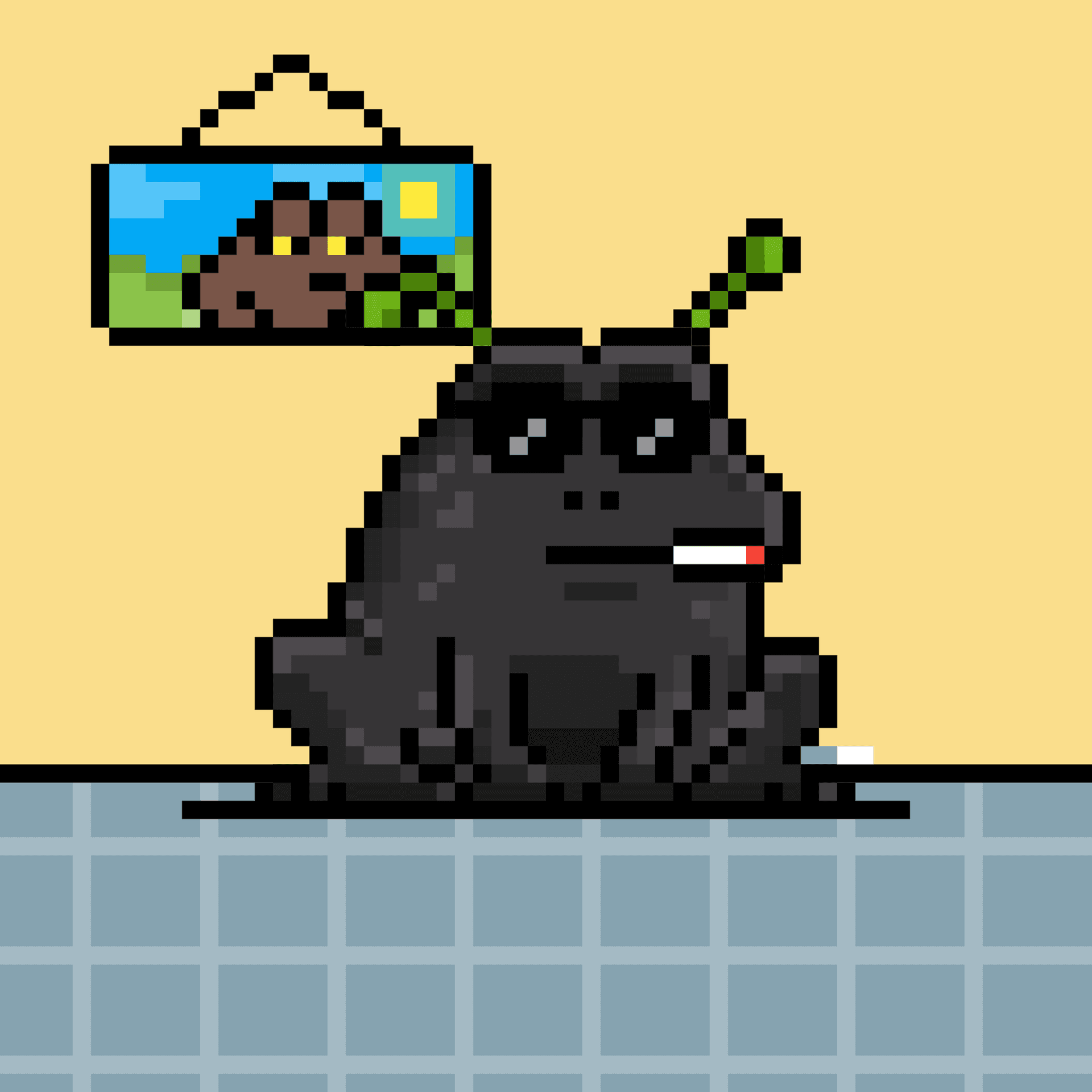 Toad 2963