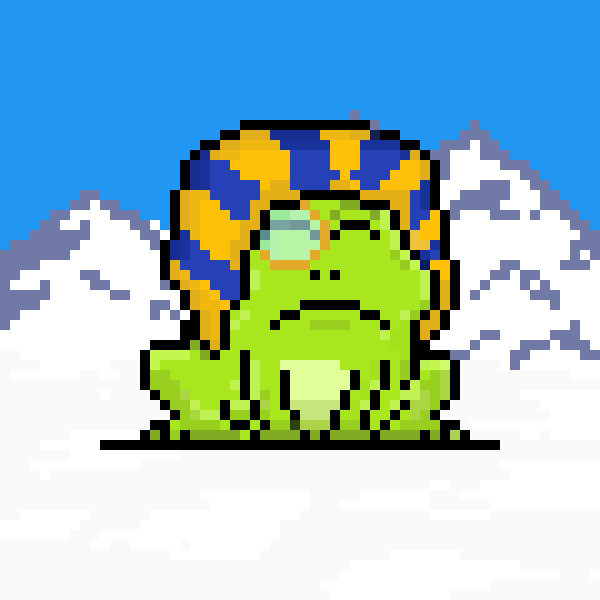 Toad 2977