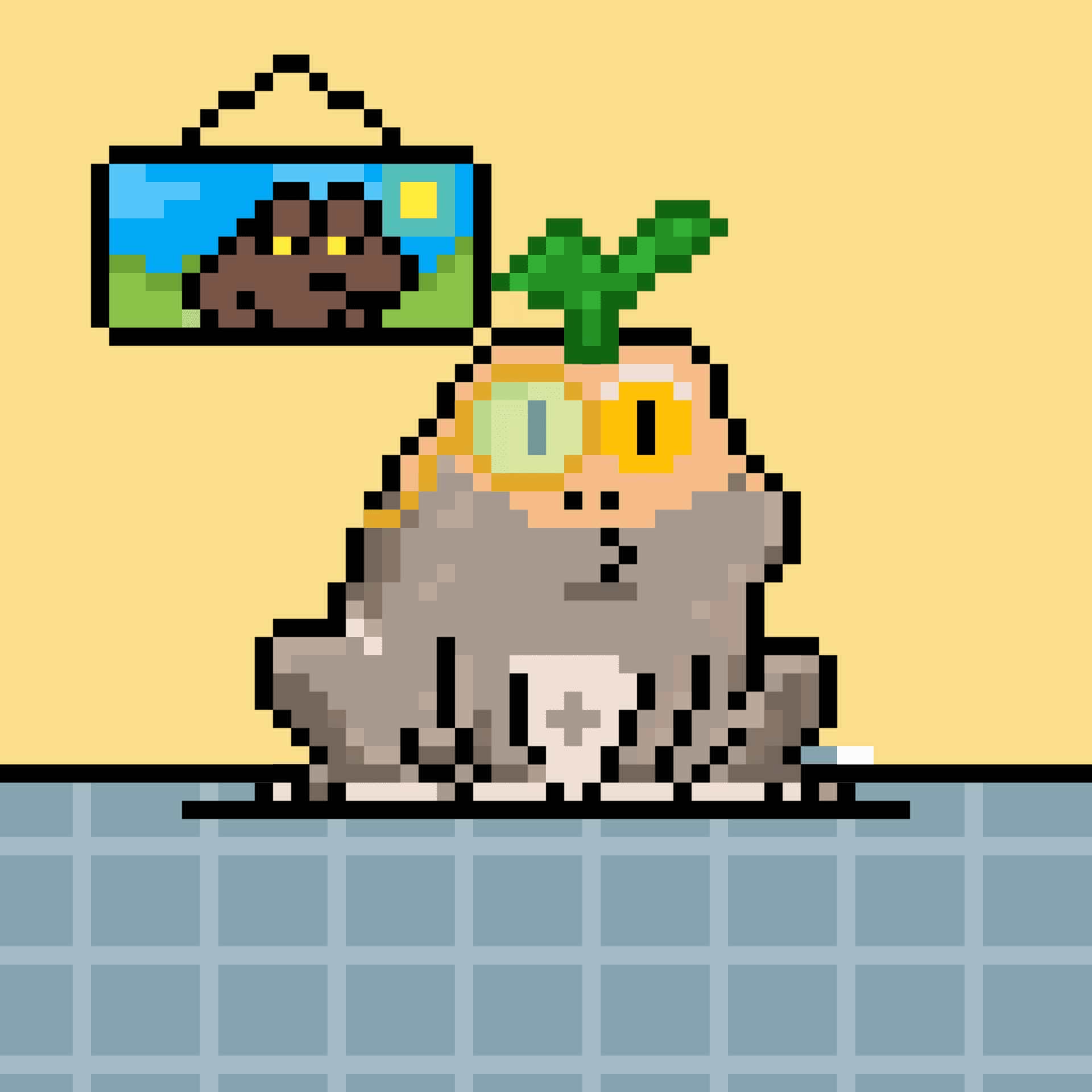 Toad 2979