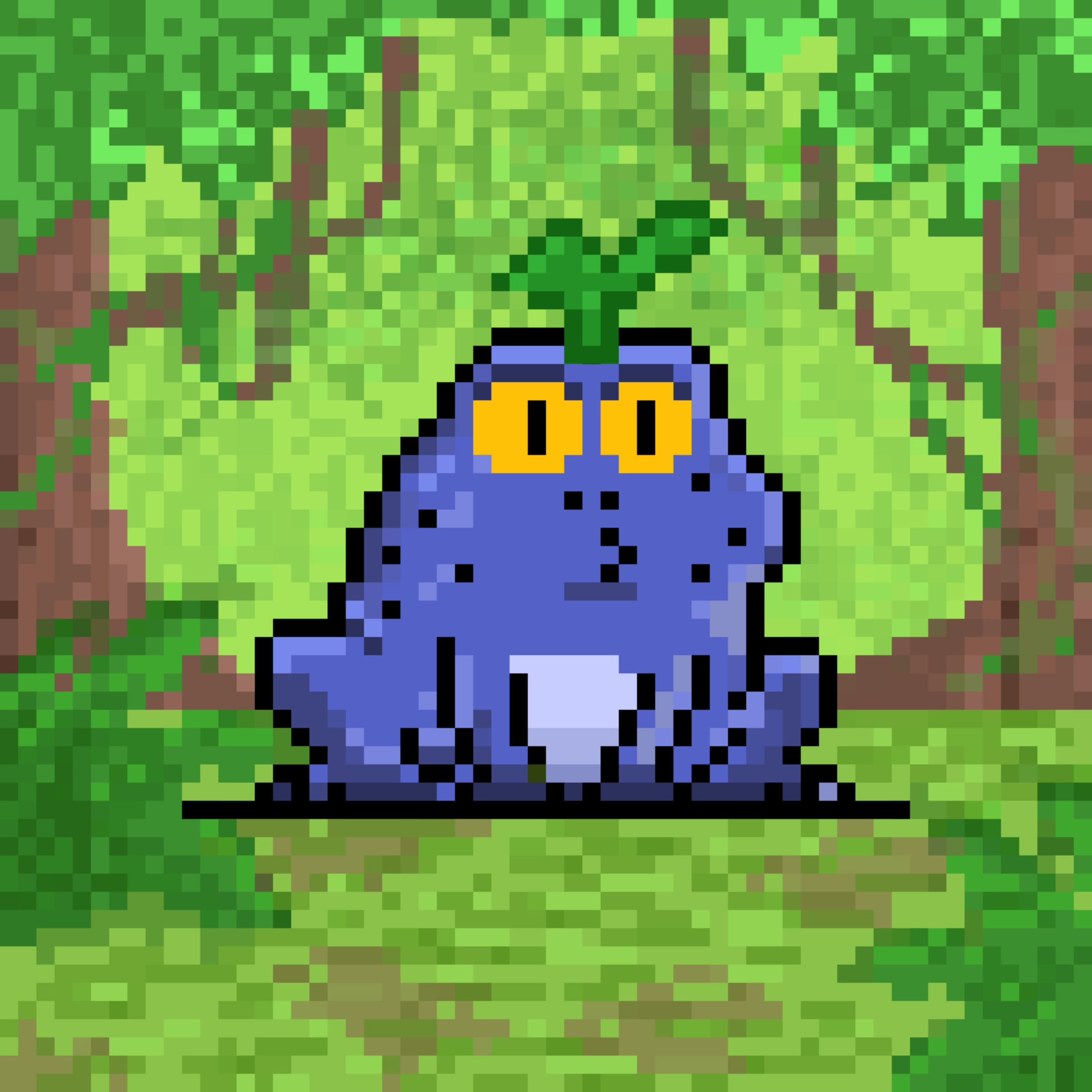 Toad 502