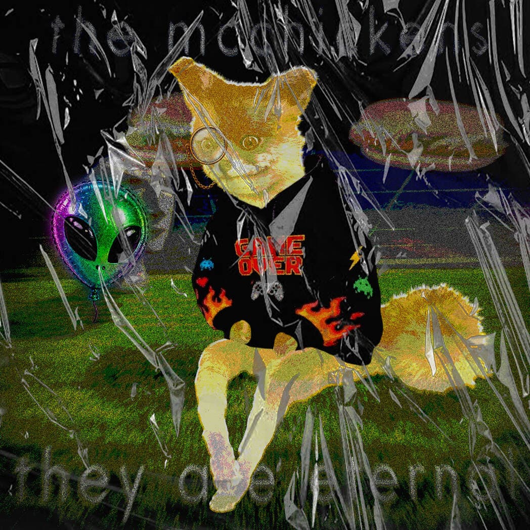 Cash Fox #1790