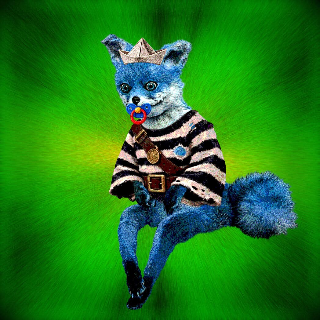 Cash Fox #2779