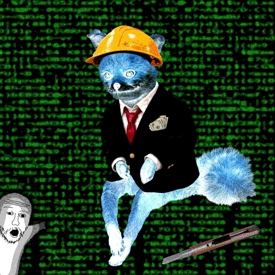 Cash Fox #3485
