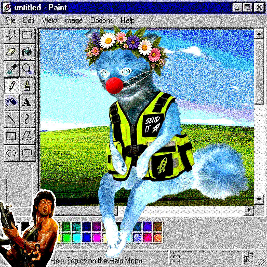 Cash Fox #9965
