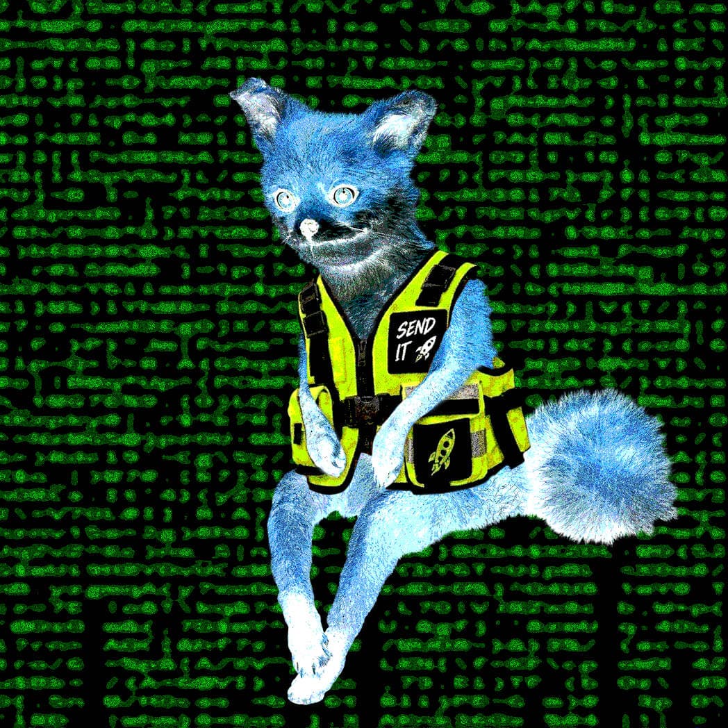 Cash Fox #9975