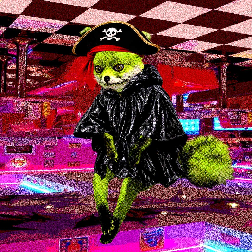 Cash Fox #9999