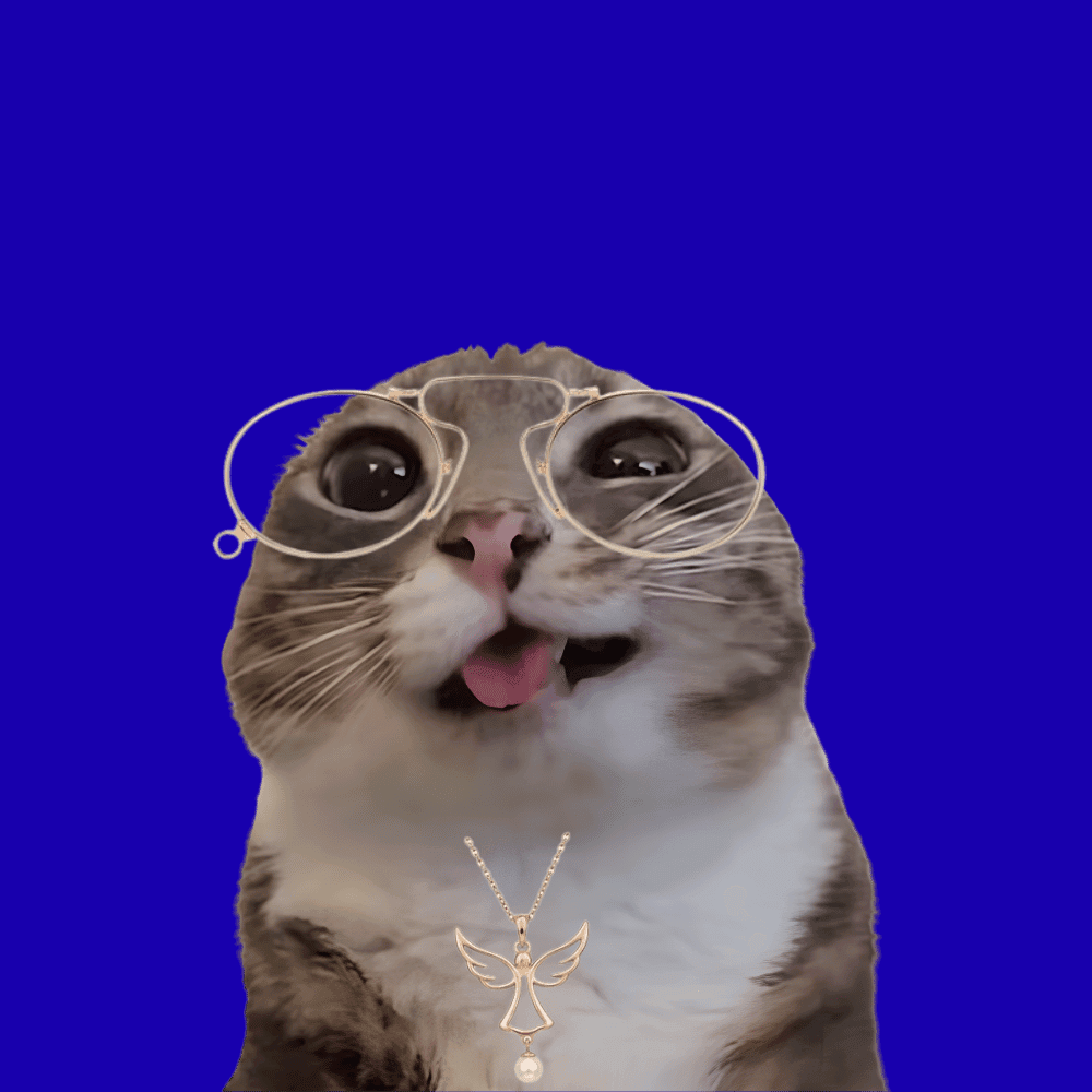 CHAOSCATS #9975