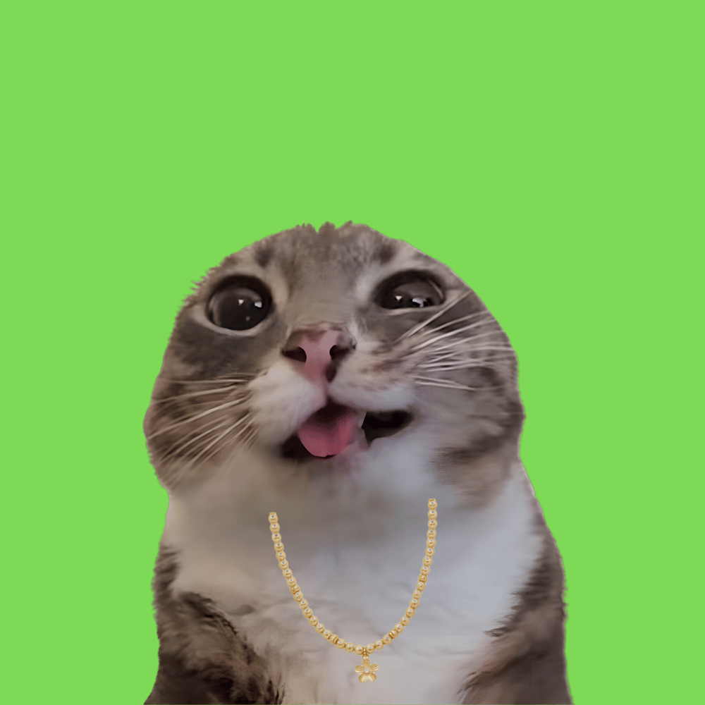 CHAOSCATS #9993