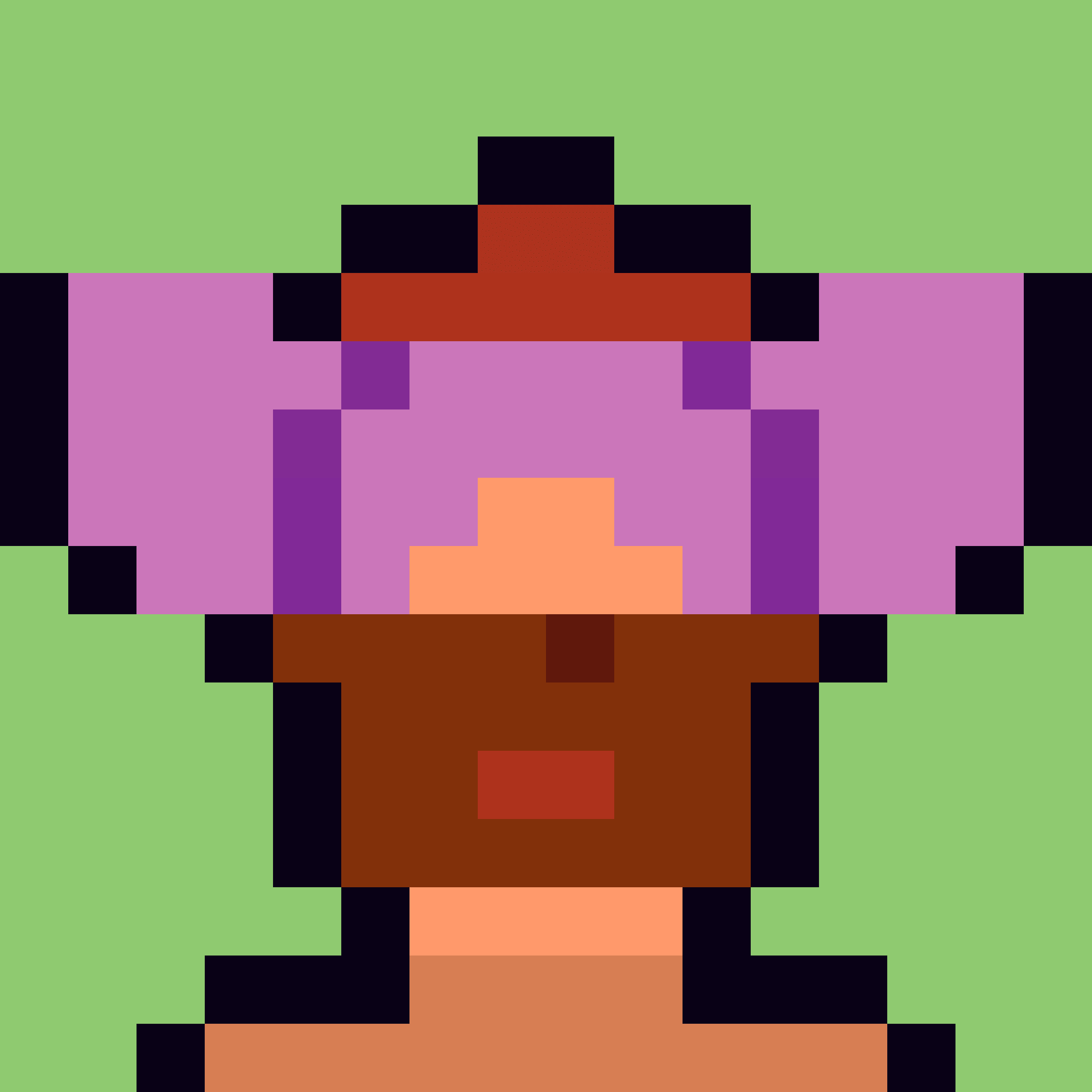 Robin-Punk #5295