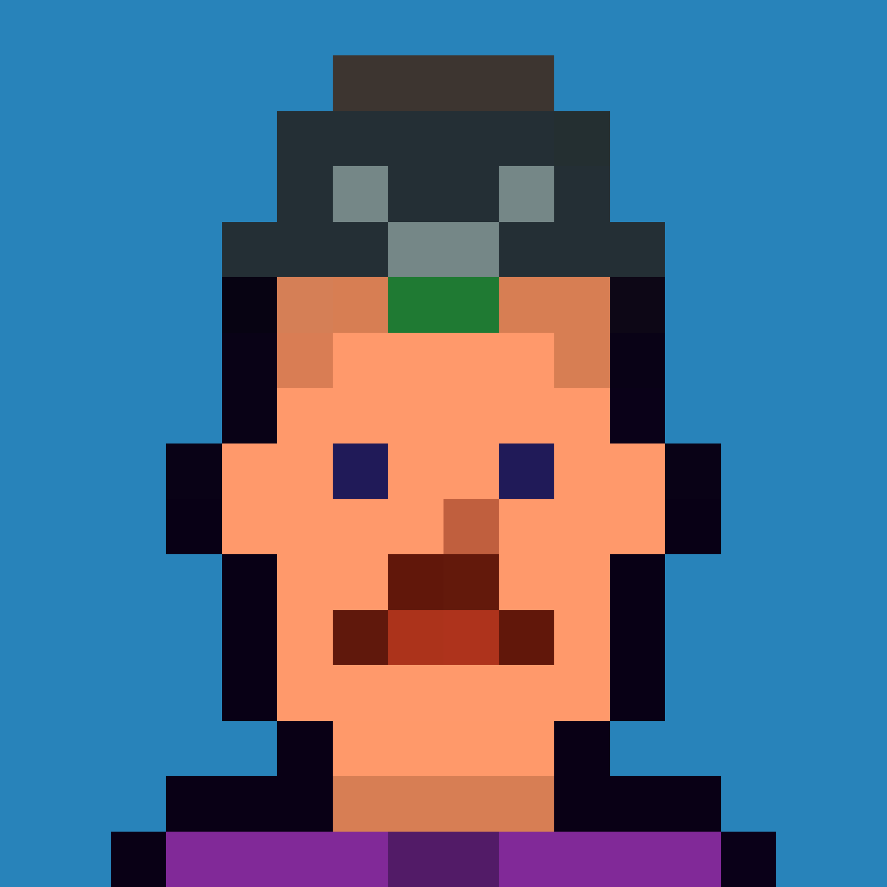 Robin-Punk #5930