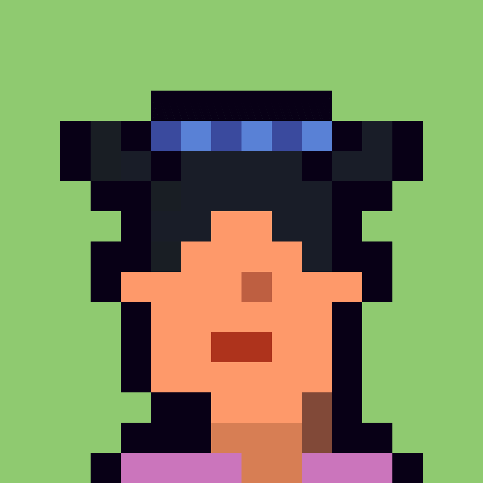 Robin-Punk #5980