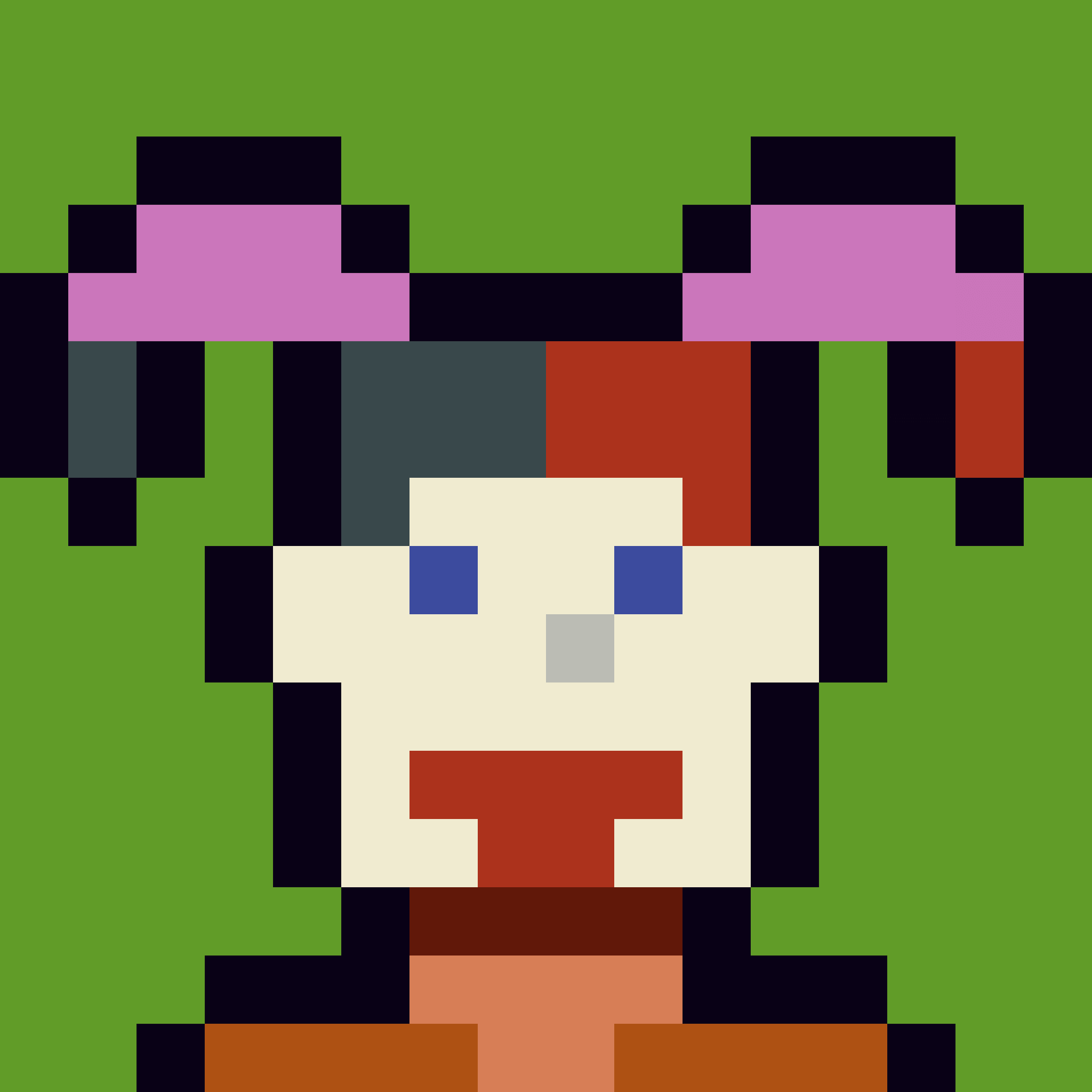 Robin-Punk #7858