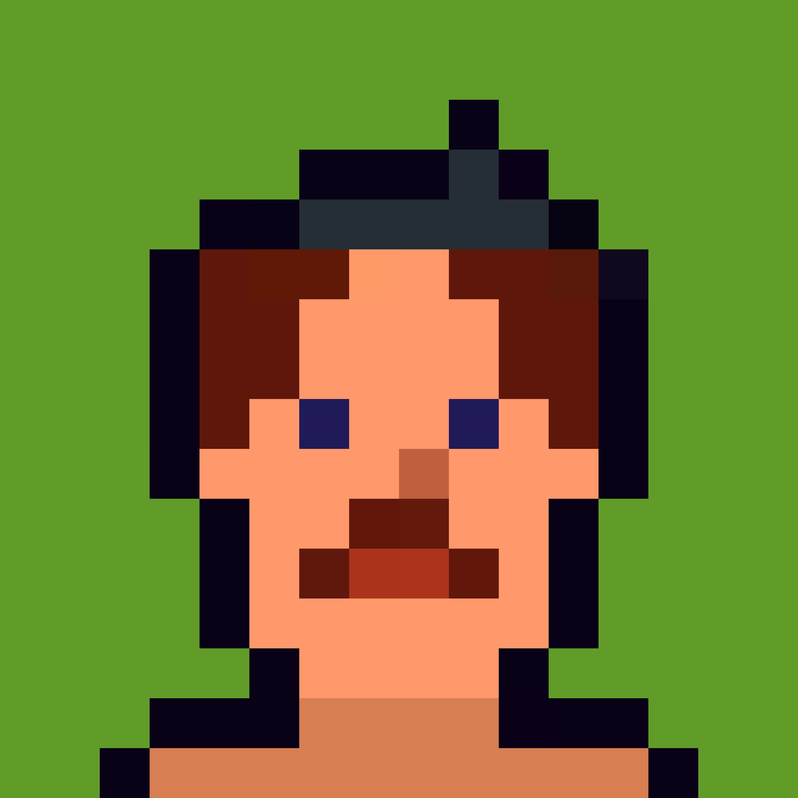 Robin-Punk #7859