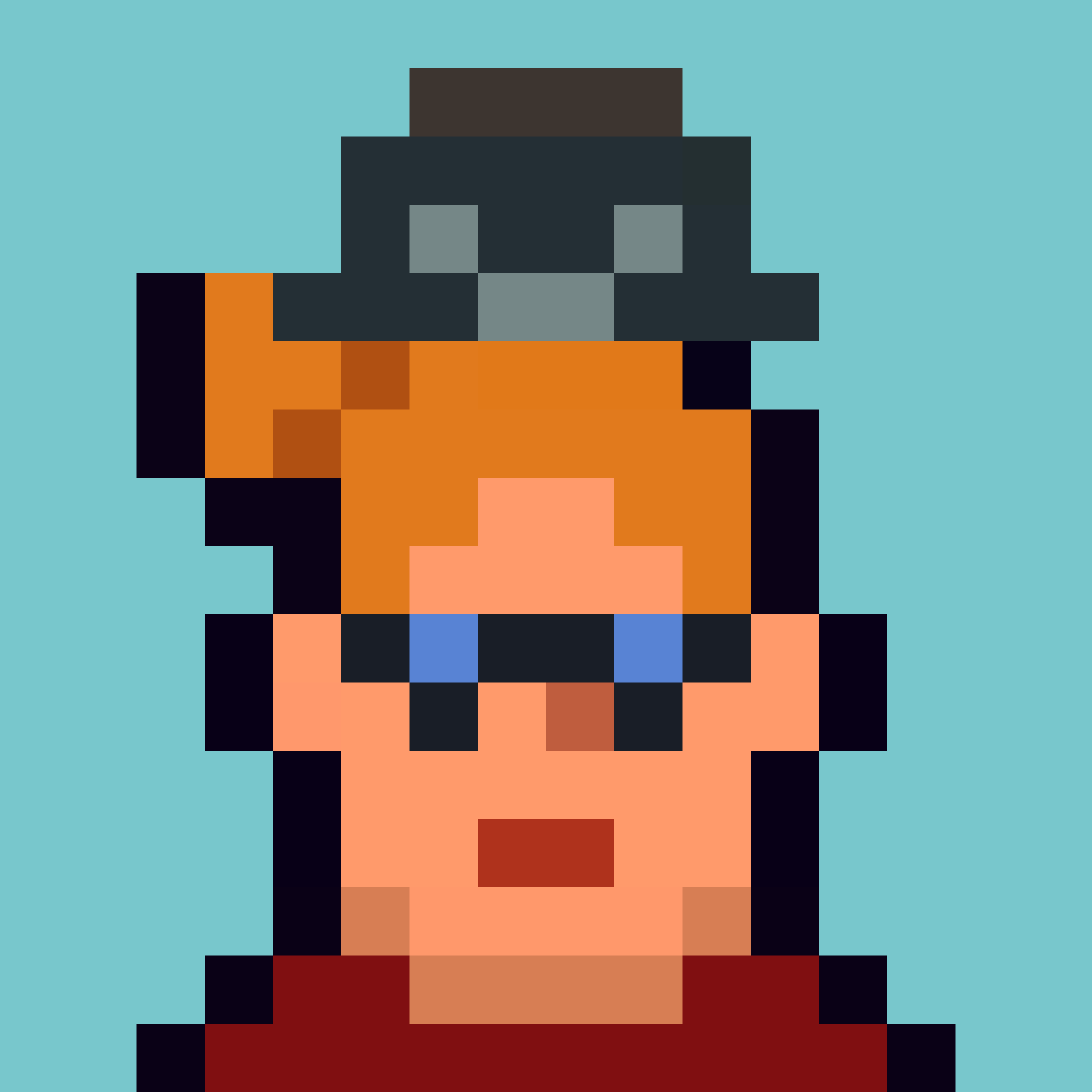 Robin-Punk #8039