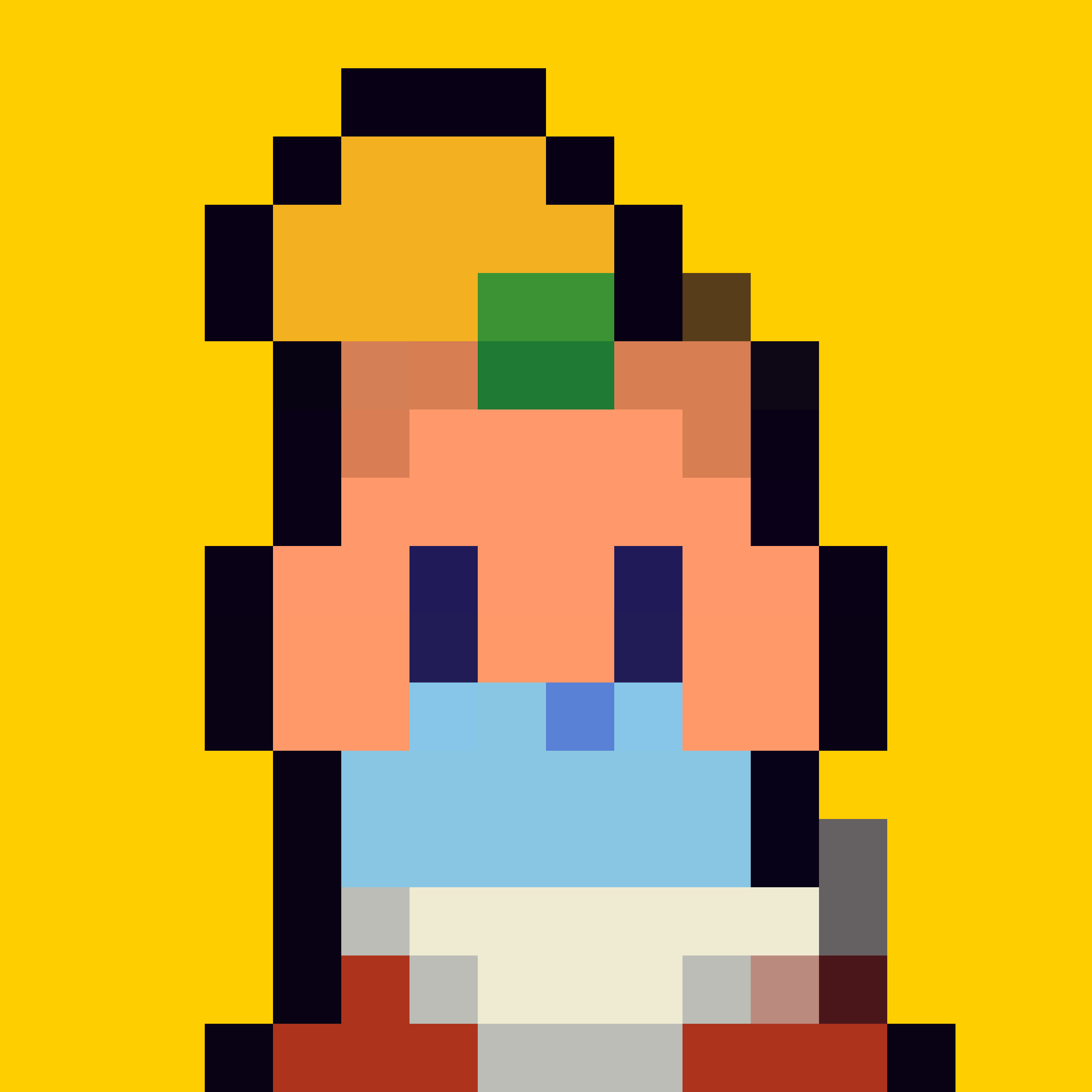 Robin-Punk #8042