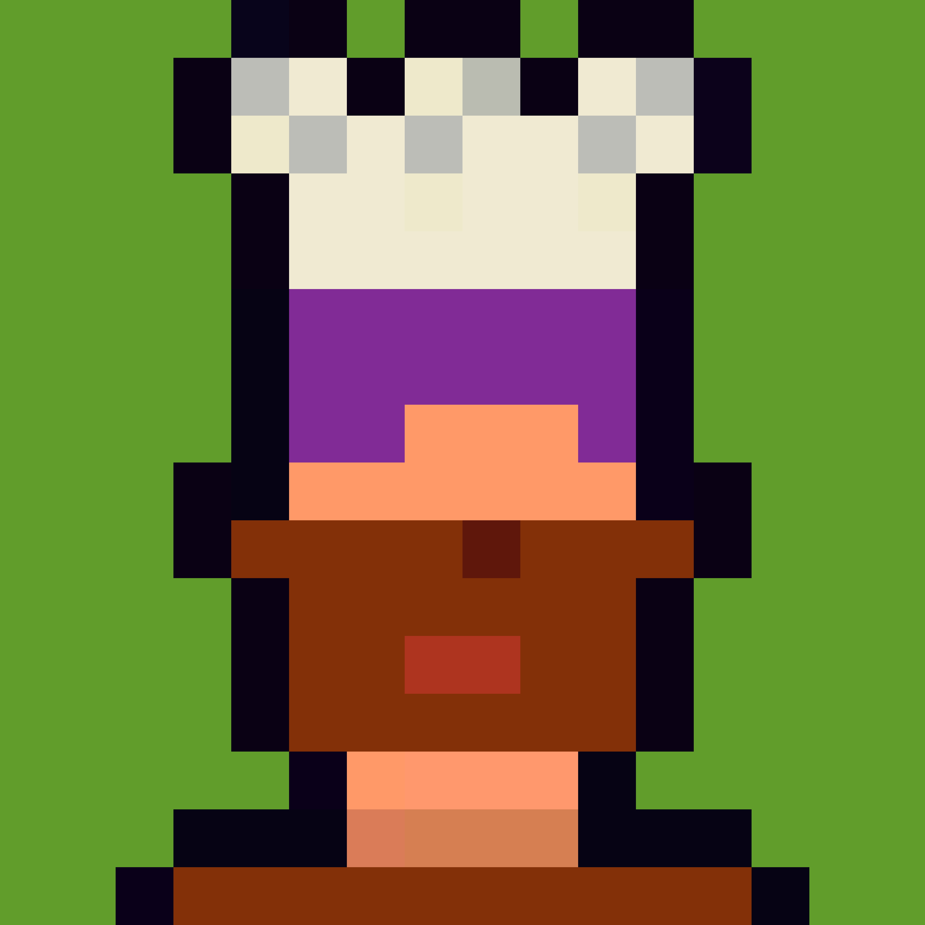 Robin-Punk #8044