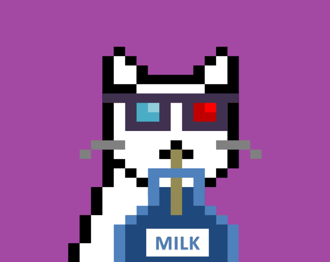 Cash Meow #9660