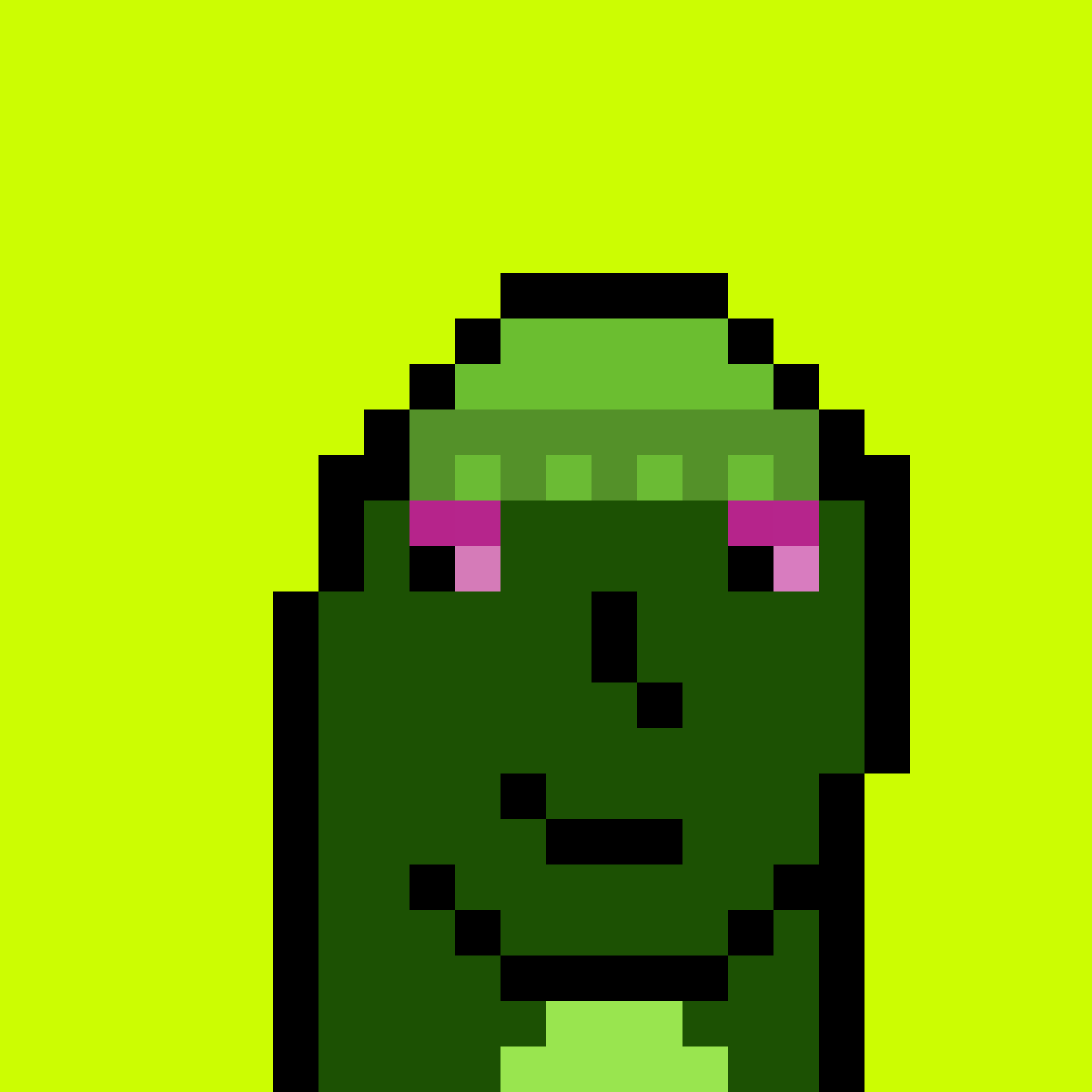 Stonk Punks #1079
