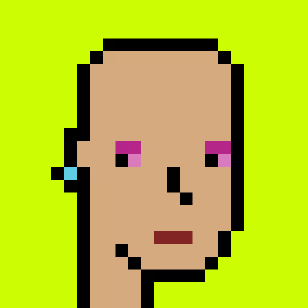 Stonk Punks #1081