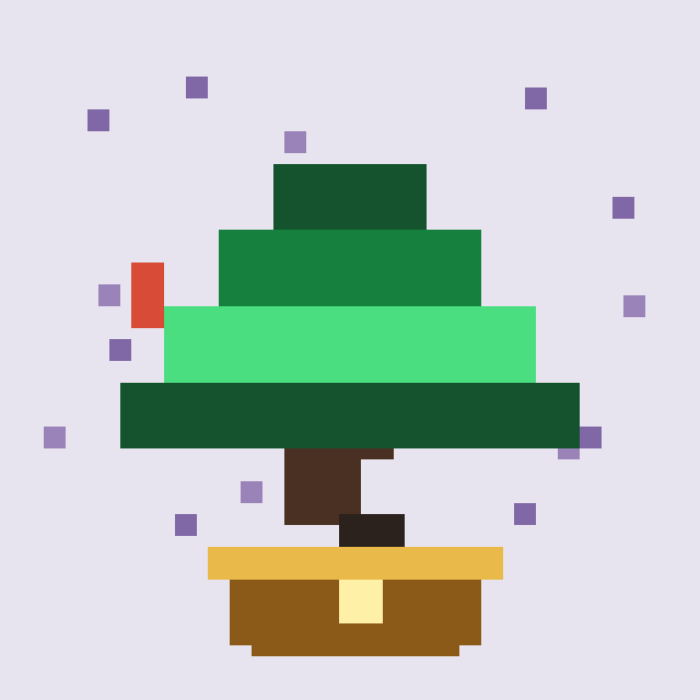 Candlewood Bonsai #7730