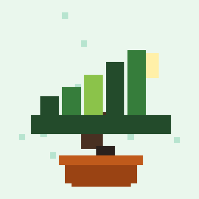 Candlewood Bonsai #7767