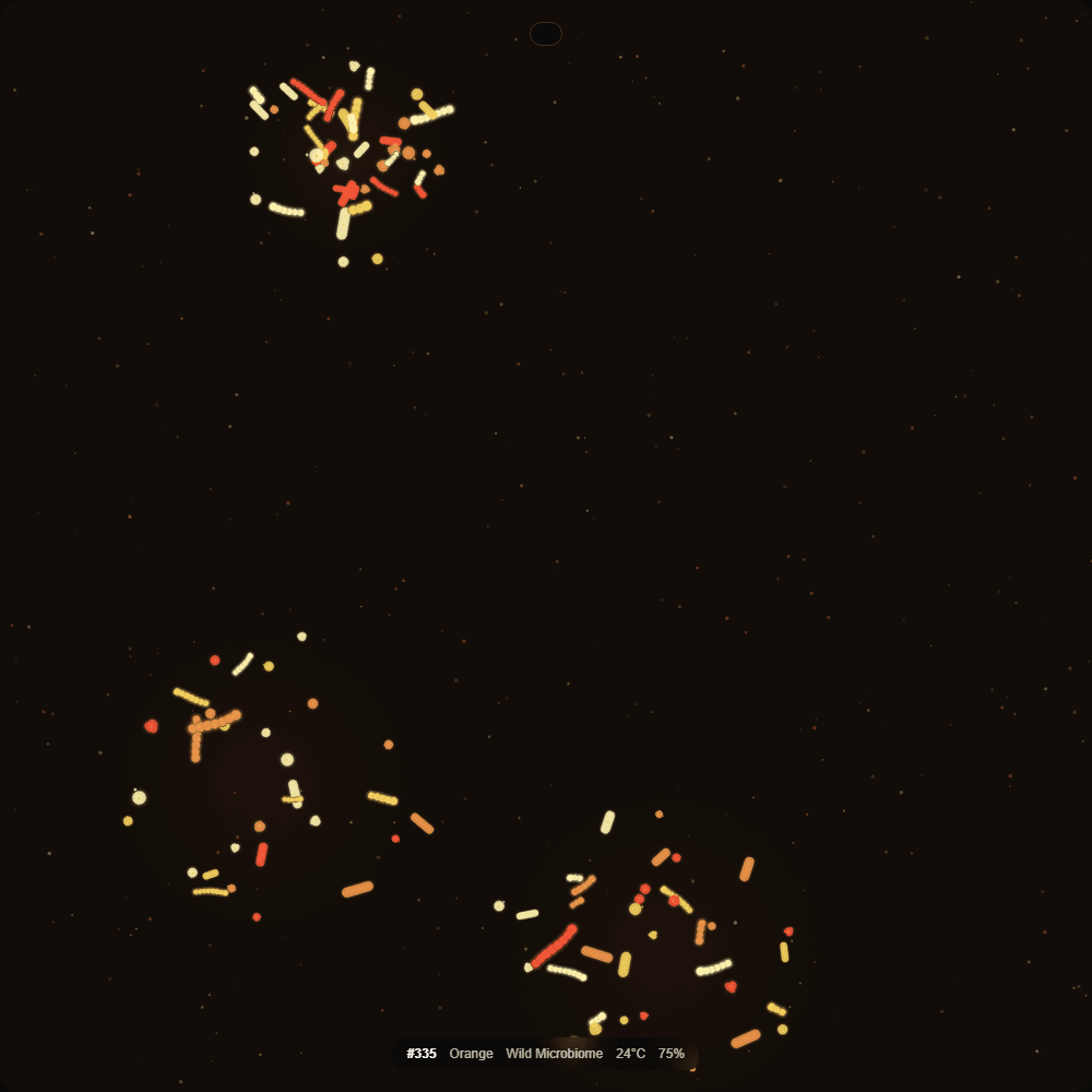 Fermented Culture #335