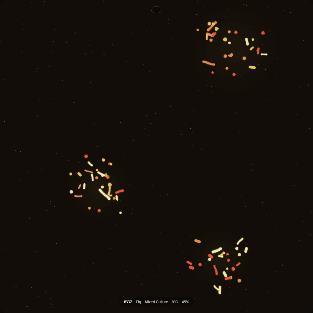 Fermented Culture #337