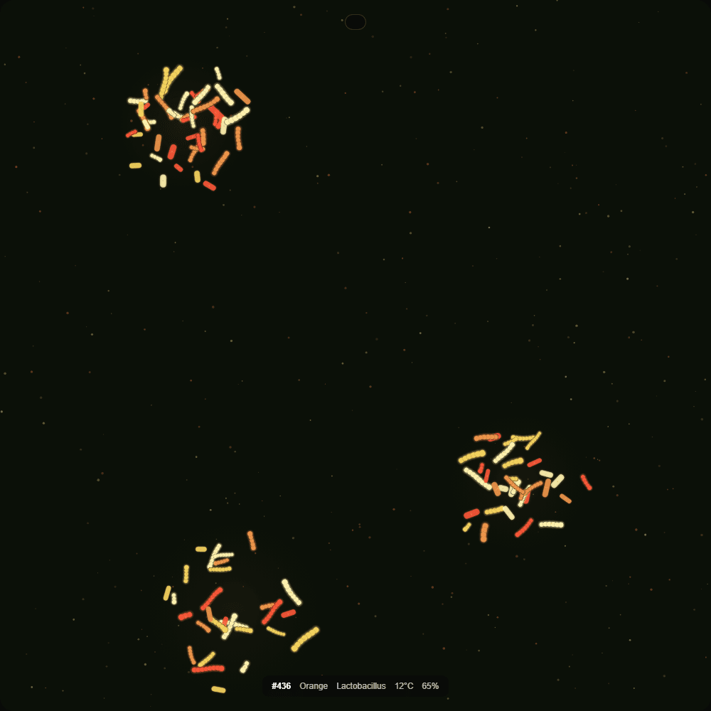 Fermented Culture #436