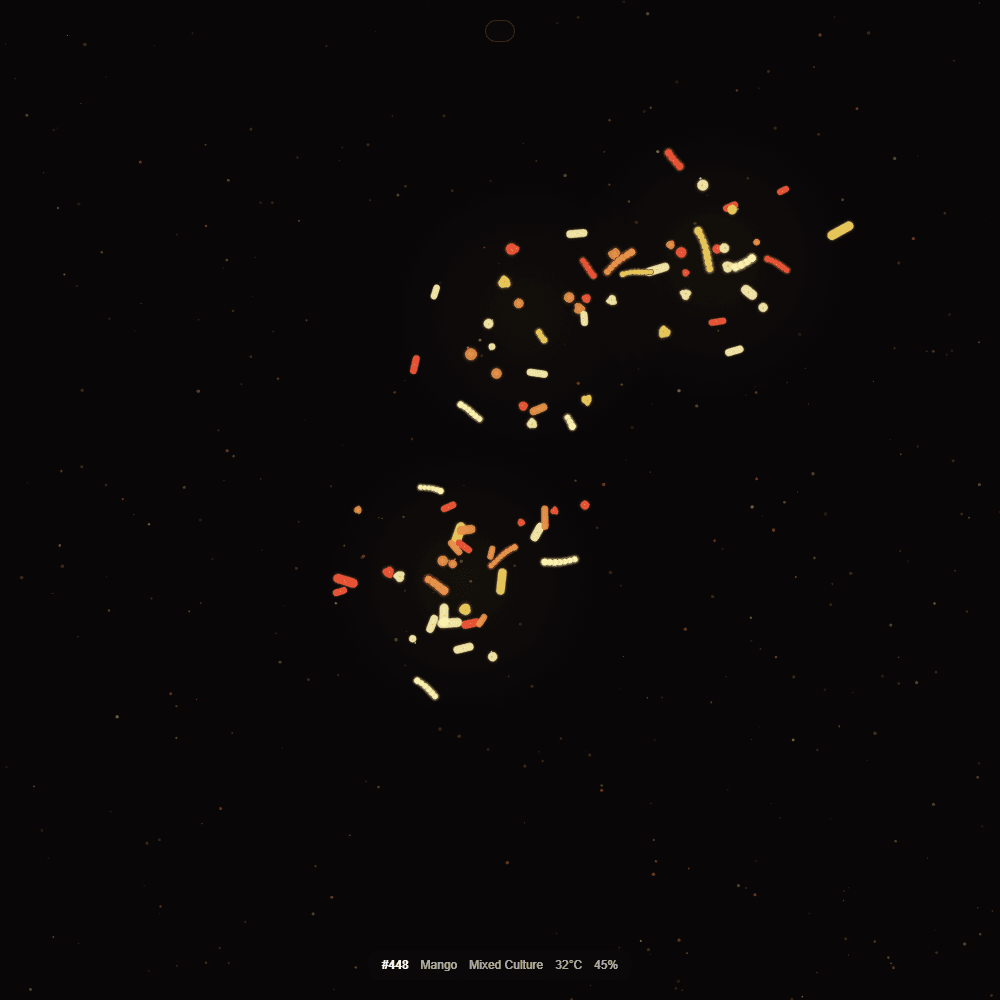 Fermented Culture #448