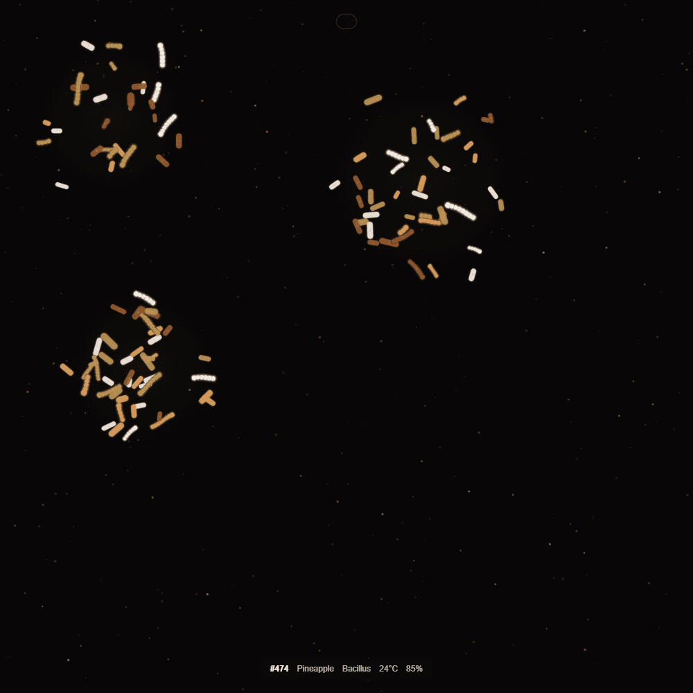 Fermented Culture #474