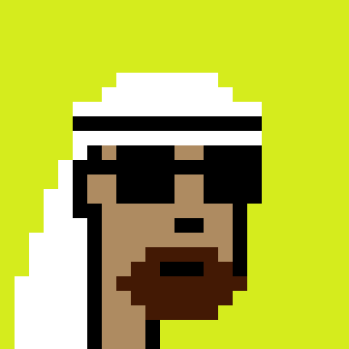 Robinhood Saudis Punks #5533