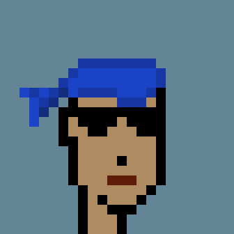 Robinhood Punk #2481